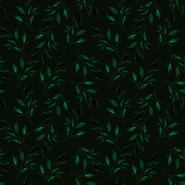 Watercolor branches with green leaves on a contrasting dark background. © Rina Grinchik