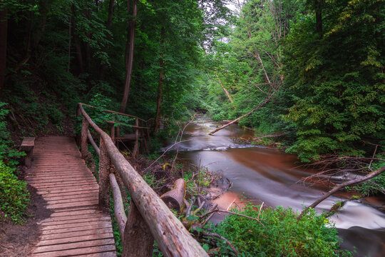 Nature reserve Cascades on Tanew River (Szumy nad Tanwią), Roztocze, Poland. River flowing through the green forest in the summertime. Wooden footbridge leading along the river.