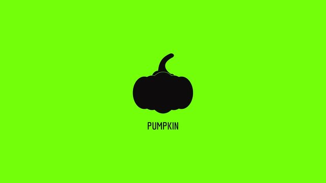 Pumpkin icon animation