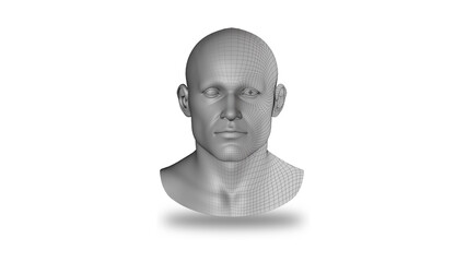 3D Male Figure