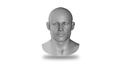 3D Male Figure