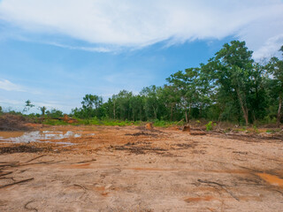 Logged forest for resort development (Khao Lak, Phang Nga, Thailand)