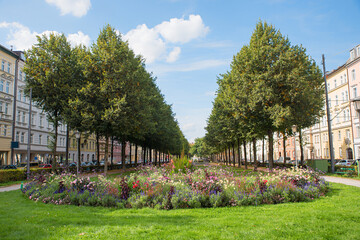 city park munich, Bordeauxplatz, with colorful summer flowers and green alley. recreational area
