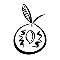 Modern isolated vector black and white illustration abstract silhouette of summer pit fruit