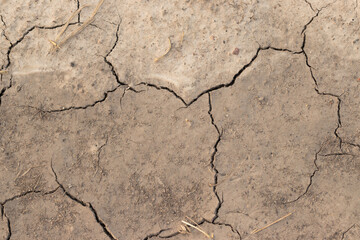 cracked earth background