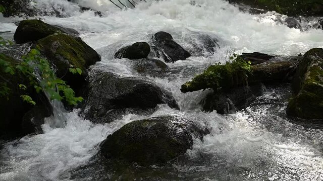 Slow motion of wild clear mountain river , stream flowing through rocks. Close up of river stones with flowing water, clean water flowing in a mountain river
