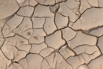 dry cracked earth