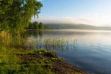 Morning in the park near the lake outdoors in summer