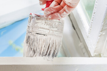 Woman doing window repairs. A woman paints a wooden window frame with white paint