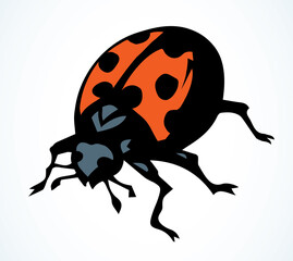 Ladybug beetle. Vector drawing icon