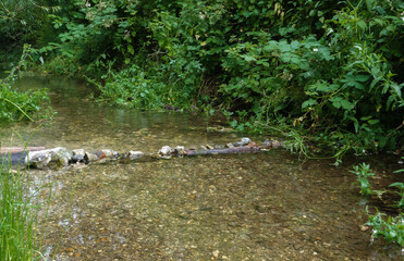 beautiful waterway of a nature reserve lake in Wiltshire UK