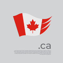 Obraz premium Canada flag. Canadian flag painted with abstract brush strokes on a white background. Vector stylized design national poster with ca domain, place for text. State patriotic banner canada, cover