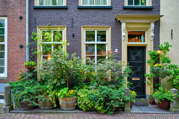 Old house with lush plants in front. Delft, Netherlands