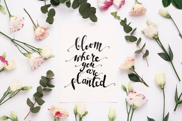 Frame of beautiful flowers and paper card with handwritten text Bloom where you are planted on white background, flat lay