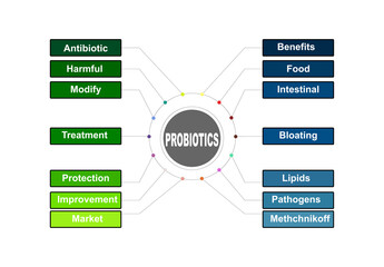 Diagram concept with Probiotics text and keywords. EPS 10 isolated on white background