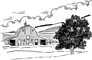 Farm Barn big tree landscape Hand drawn line art illustration classic style