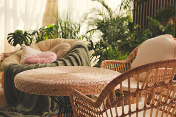 Fototapeta Indoor terrace interior with wicker furniture and green plants obraz