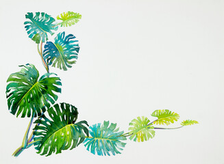 Trendy Summer Tropical Leaves of monstera. Watercolor painting.