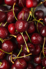 Fresh sweet and sour dark red cherries with water drops, close up