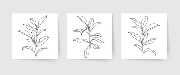 Line drawing of tropical leaves and branches. Modern single line art. Vector illustration.