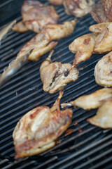 Grilled quail with corn, general serving. High quality photo