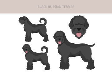 Black russian terrier clipart. Different coat colors and poses set - obrazy, fototapety, plakaty