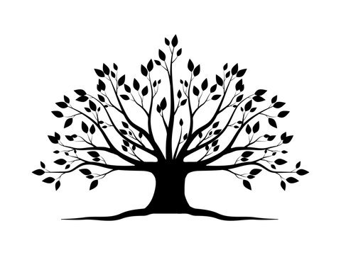 Silhouette tree or black Trees and root with leaves look beautiful and refreshing. Tree and roots LOGO style.