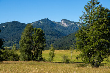 landscape with trees and bavarian mountains