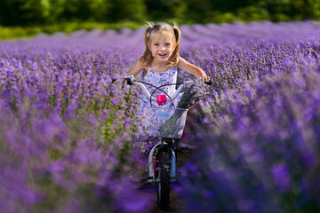 Girl riding her bicycle through lavender
