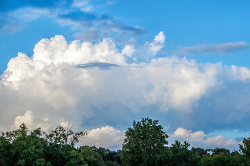 Obraz premium Cumulous over Tree Line