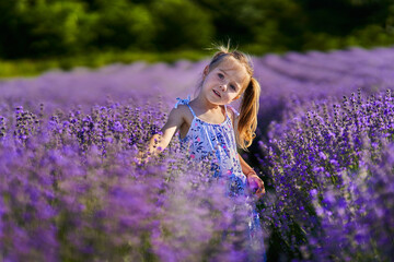 Beautiful little girl in a lavender field © Xalanx