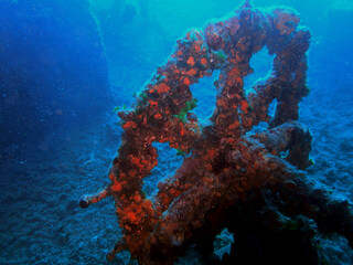 Fototapeta na wymiar The Wreck of the Teti, near Vis Island, Adriatic sea, Croatia