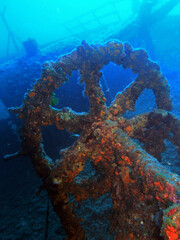 Fototapeta na wymiar The Wreck of the Teti, near Vis Island, Adriatic sea, Croatia