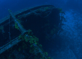 Obraz premium The Wreck of the Brioni, near Vis Island, Adriatic sea, Croatia (60m depth) 