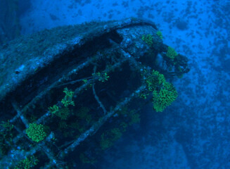The Wreck of the Brioni, near Vis Island, Adriatic sea, Croatia (60m depth) 