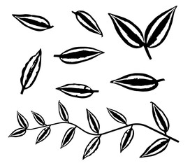 Black thin tradescantia liana grass leaves silhouettes isolated on white. Climbing thin plant brush. Houseplants. Stencil vector