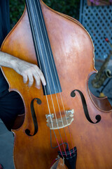 musicista