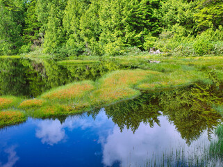 水面に映る緑の森（志賀高原渋池）