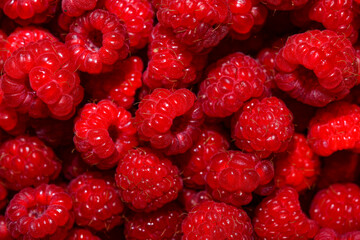 Fresh and sweet raspberries background.Healthy and vitamine food