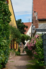 historischer ringpfad in duchroth