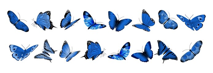 Realistic blue butterflies. Flying butterfly, isolated bright insects collection. Decorative spring summer forest and garden wild animals vector set - obrazy, fototapety, plakaty