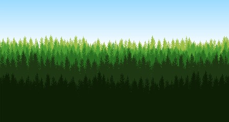 Fototapeta na wymiar Pine forest. Silhouettes of coniferous green trees. Wild landscape horizontally. Nice panoramic view. Beautifully illustration vector