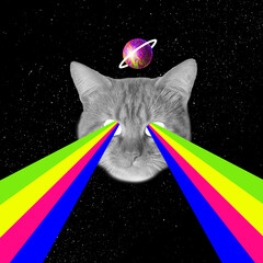 Contemporary art collage, modern design. Party mood. Head of cat with rainbow colorful flood from eyeglasses.