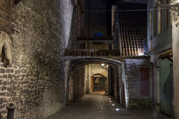 Obraz premium Katariina kaik (St. Catherine's Passage) - half-hidden walkway in old town of Tallinn in winter, Estonia