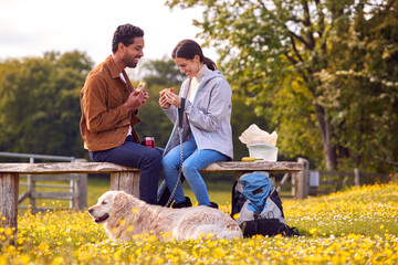 Couple With Pet Golden Retriever Dog On Walk In Countryside Sit On Bench And Enjoy Picnic Together