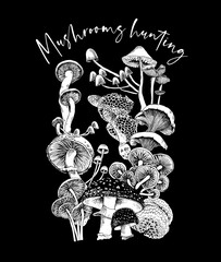 Composition of a Different mushrooms. Mushrooms hunting - lettering quote. Humor card, t-shirt composition, hand drawn style print. Vector black and white illustration.