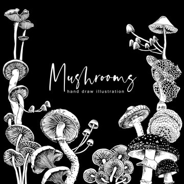 Different mushrooms. Poster, card, t-shirt composition, hand drawn style print. Vector black and white illustration.