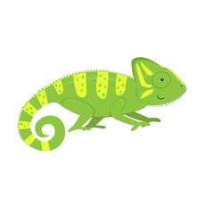 cartoon chameleon, flat color vector ilustration isolated on white background