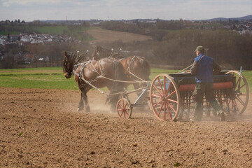 Obraz premium Eine alte Sämaschine gezogen von Pferden