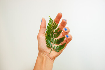 mano sujetando una hoja de helecho como simbolo del respeto al medio ambiente y de cuidado del planeta y la naturaleza